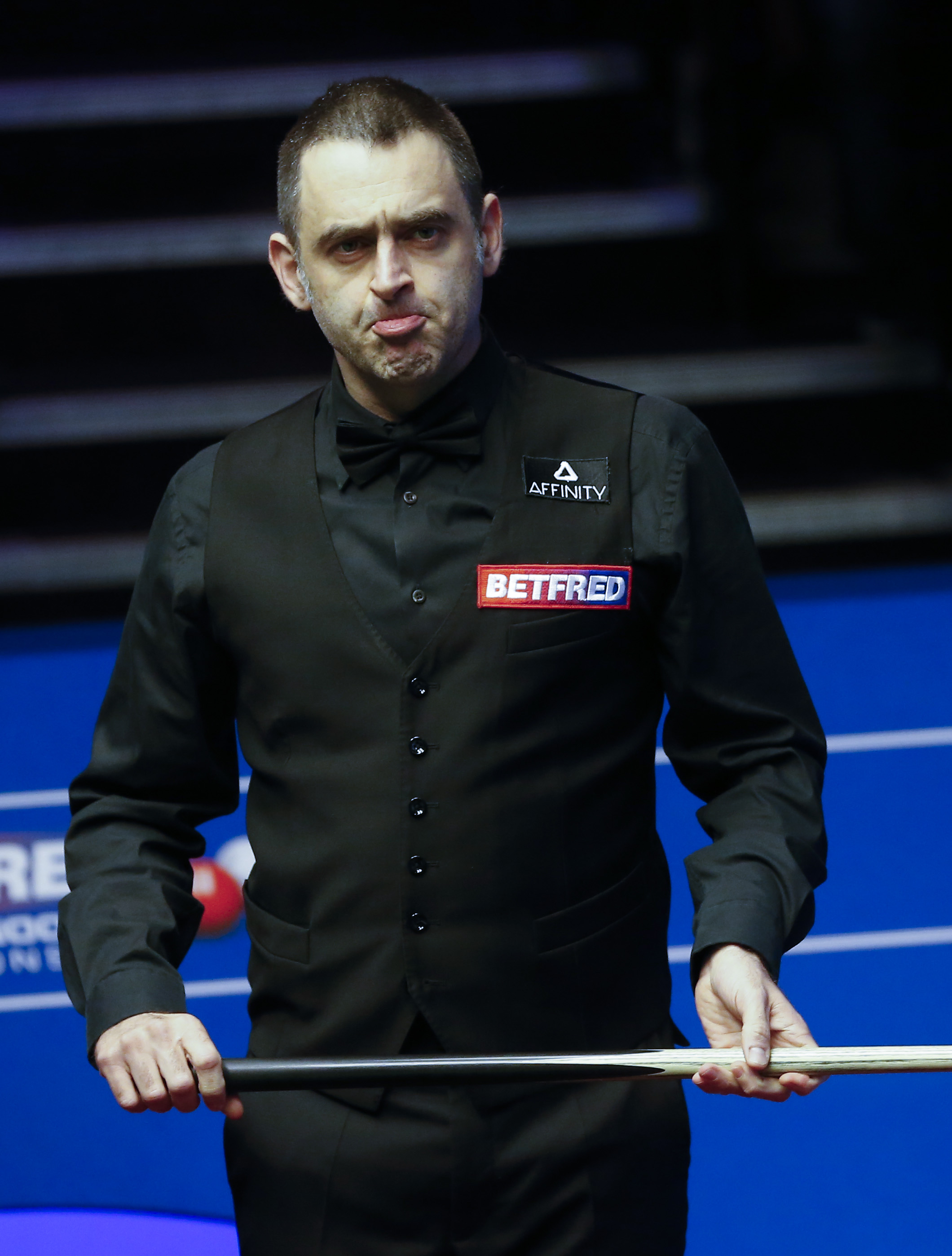 观赏体验 观赏体验