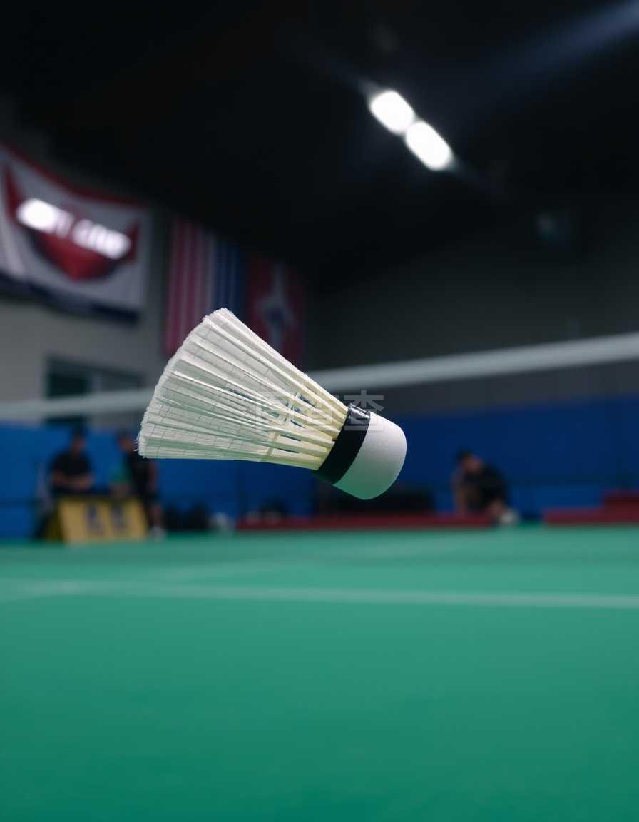 无论是新秀 无论是新秀