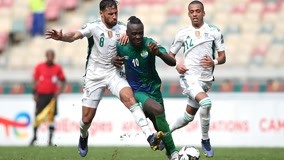 奏带动全图 奏带动全图